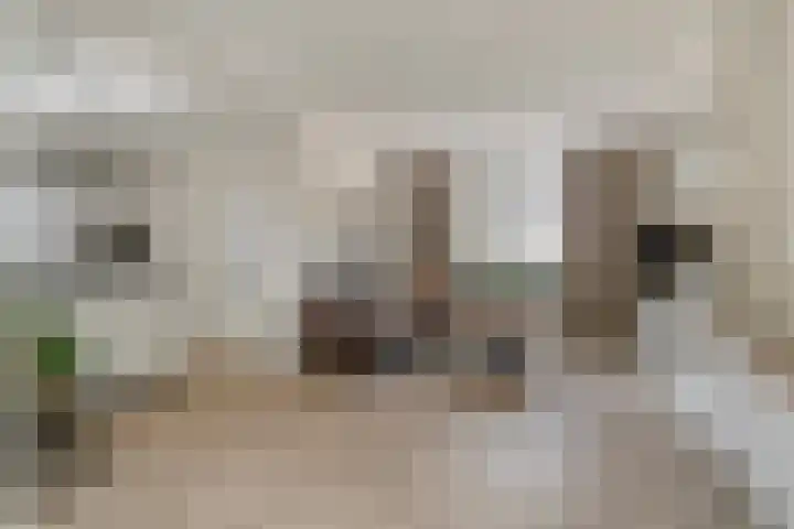 Dorpstraat 23 Geijsteren thumbnail 4