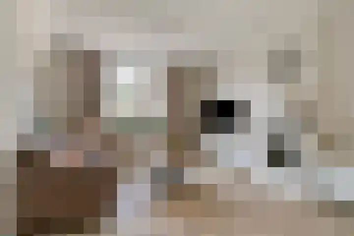 Dorpstraat 23 Geijsteren thumbnail 5