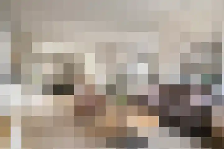 Dorpstraat 23 Geijsteren thumbnail 6