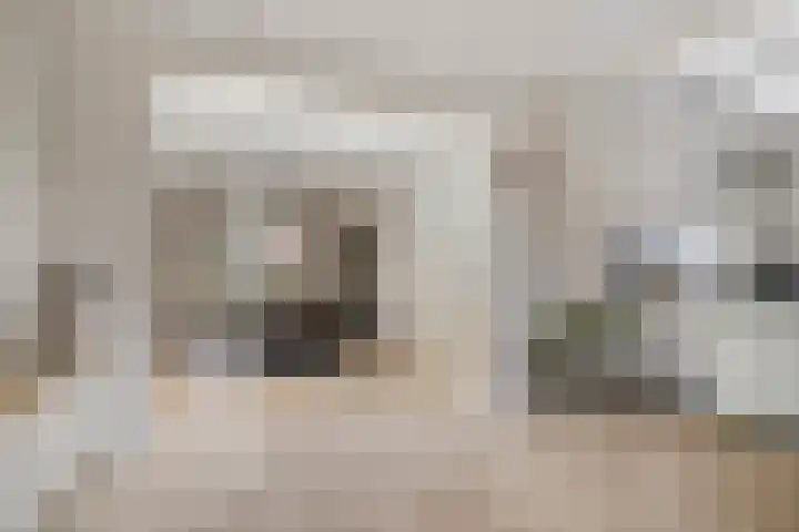 Dorpstraat 23 Geijsteren thumbnail 7