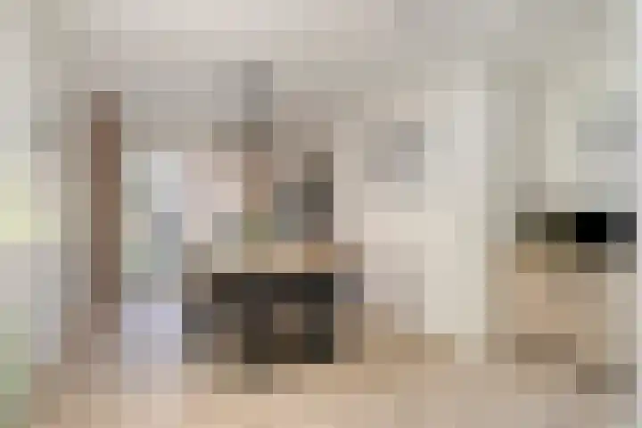 Dorpstraat 23 Geijsteren thumbnail 8