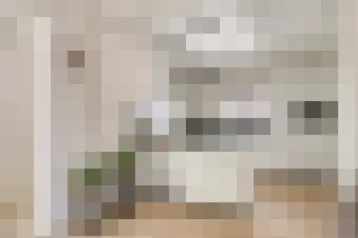 Dorpstraat 23 Geijsteren thumbnail 9