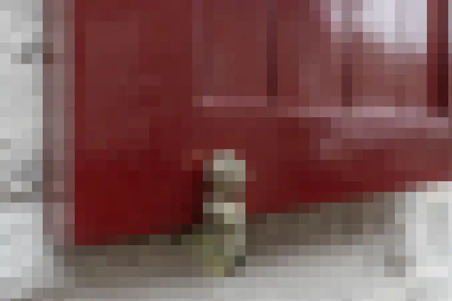 Dorpstraat 25 Elsloo thumbnail 11
