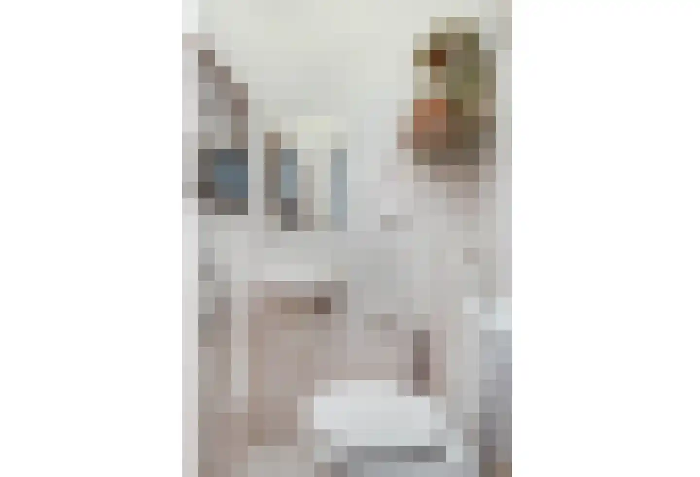 Dorpstraat 25 Elsloo thumbnail 13