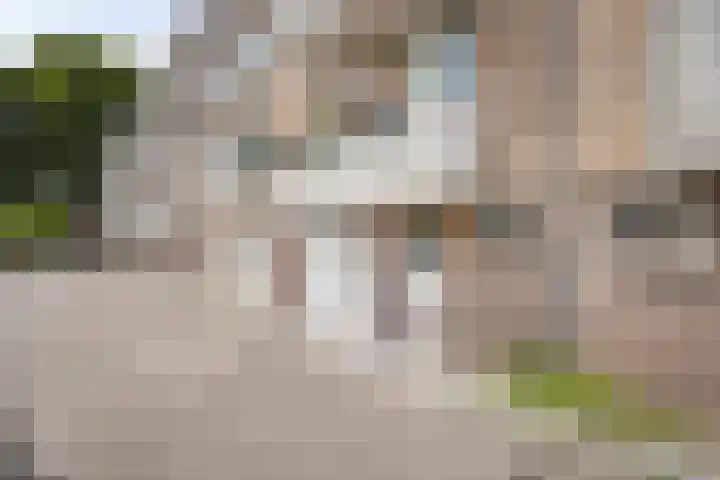 Dorpstraat 25 Elsloo thumbnail 15