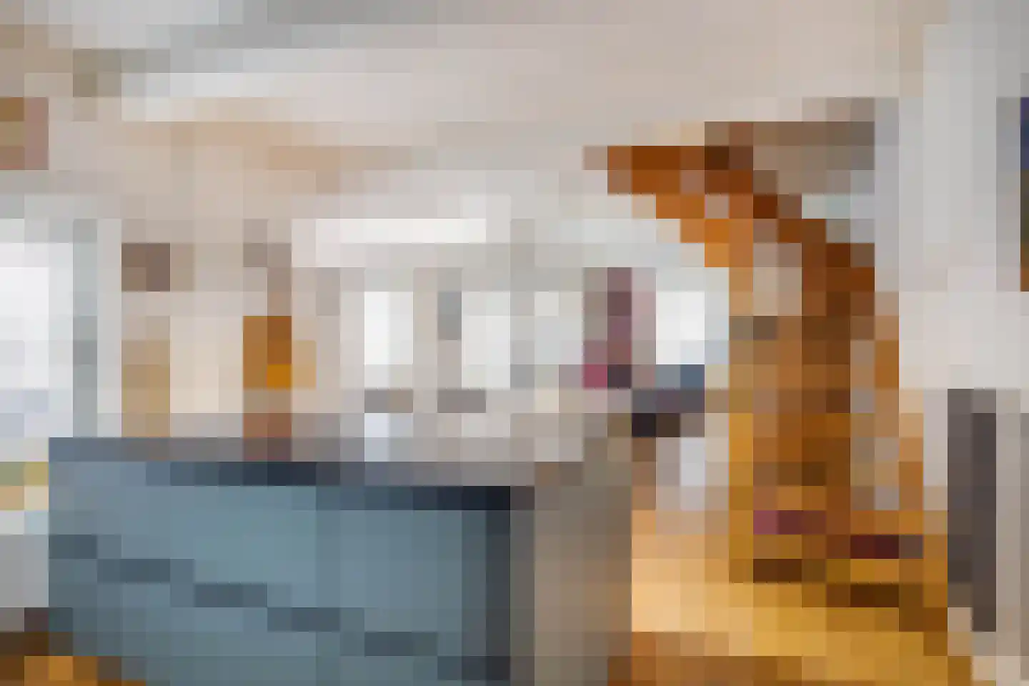 Dorpstraat 25 Elsloo thumbnail 18