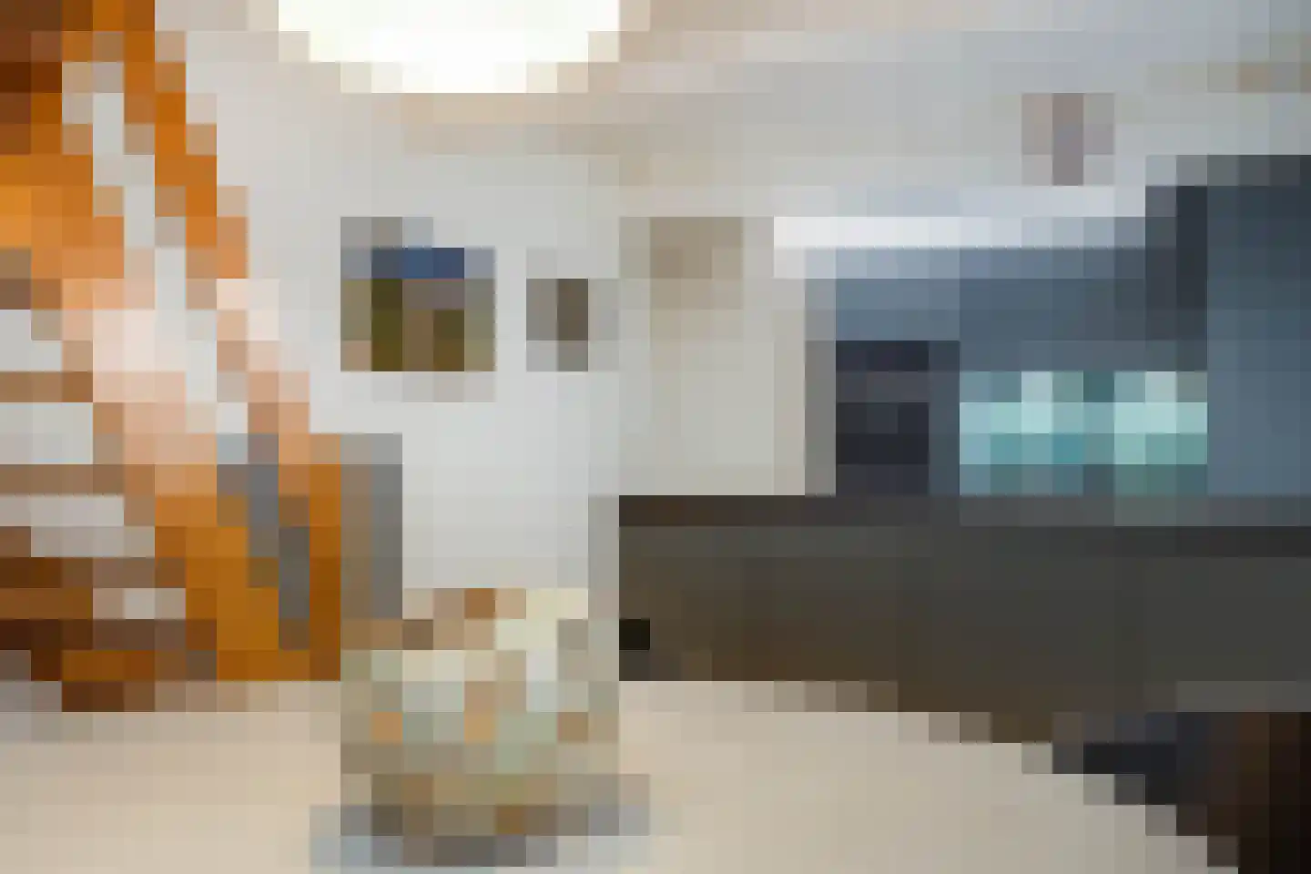 Dorpstraat 25 Elsloo thumbnail 19