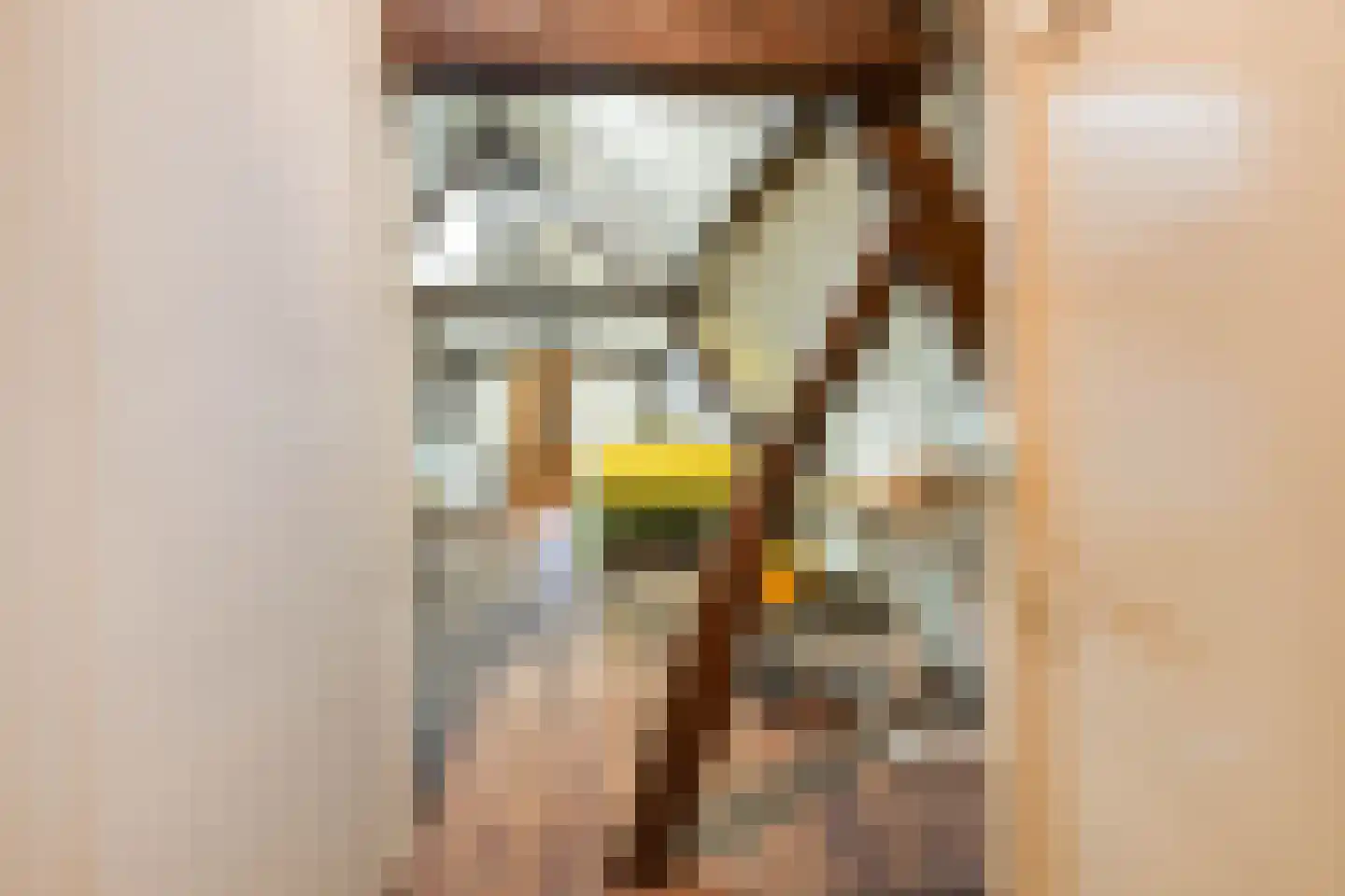 Dorpstraat 25 Elsloo thumbnail 28