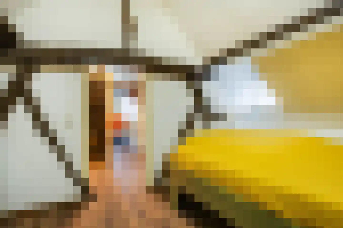 Dorpstraat 25 Elsloo thumbnail 29