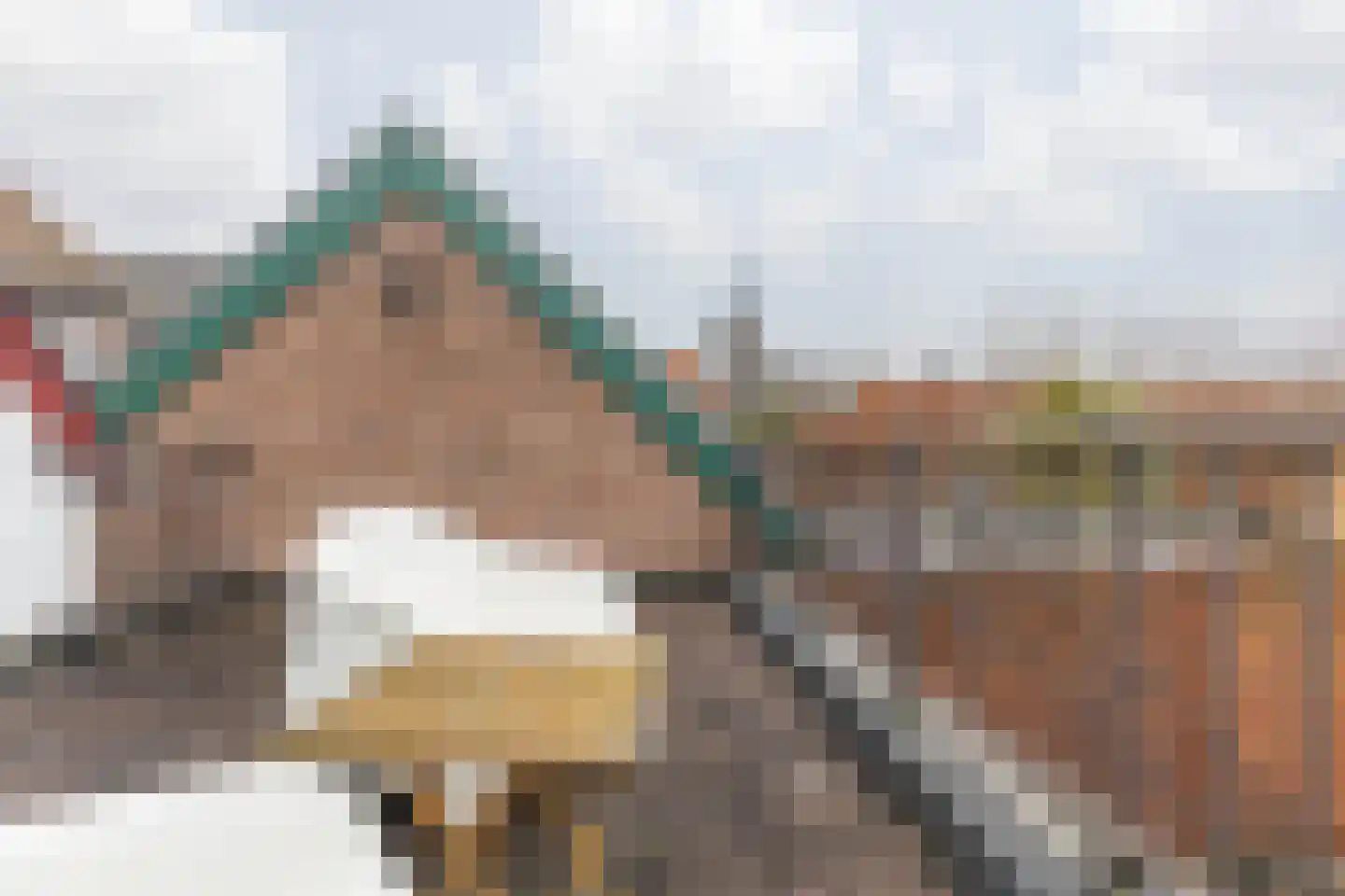 Dorpstraat 25 Elsloo thumbnail 31