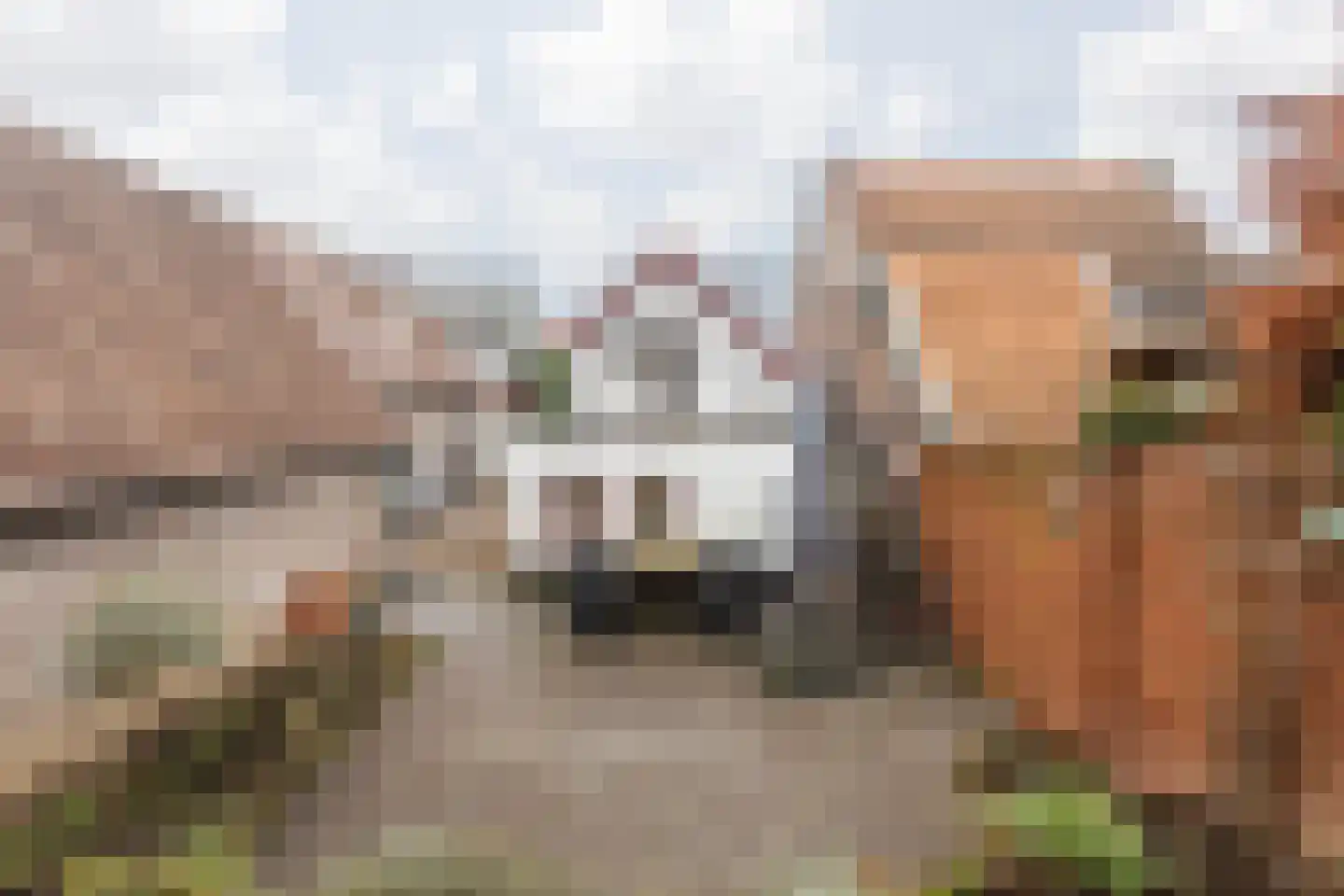 Dorpstraat 25 Elsloo thumbnail 34