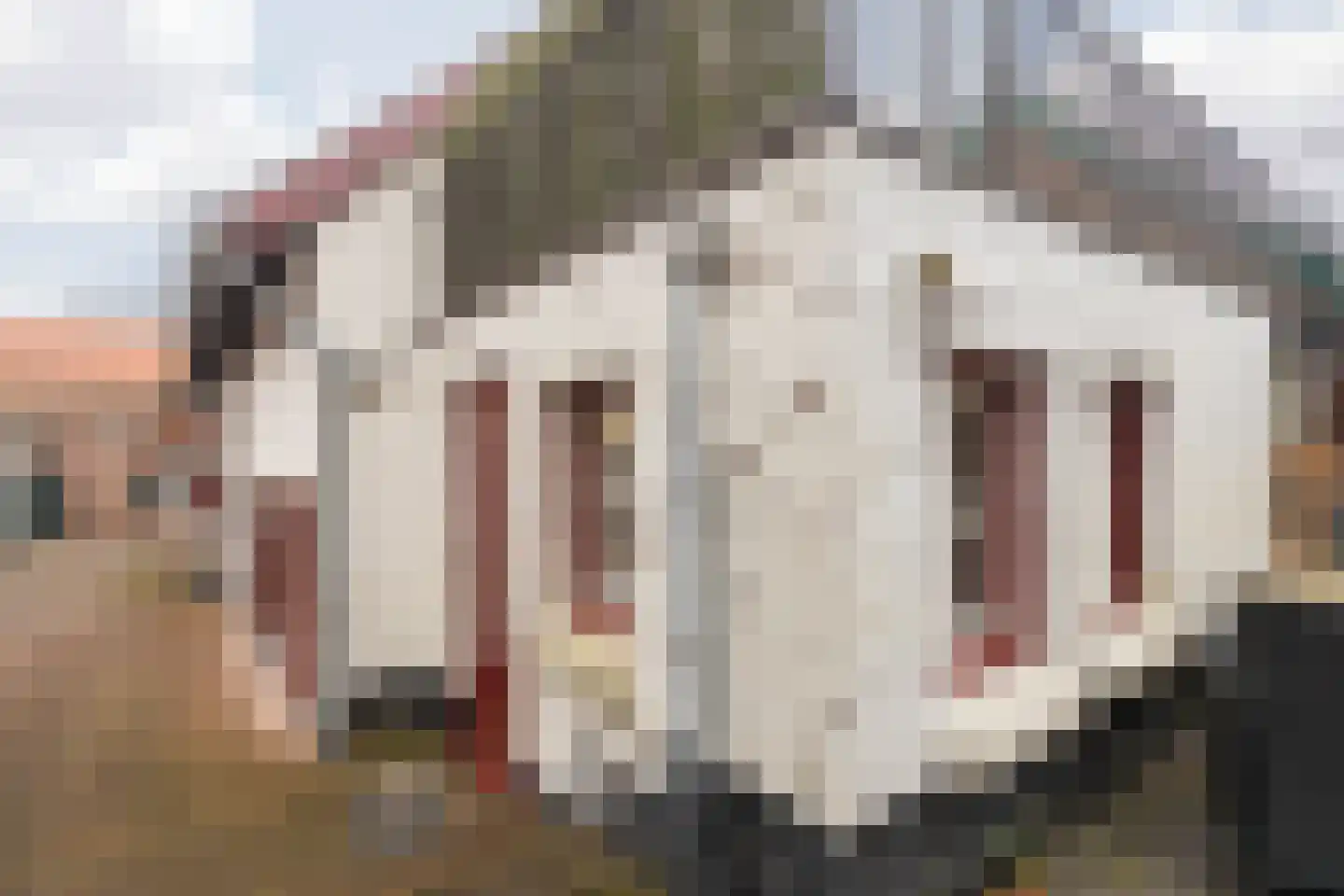 Dorpstraat 25 Elsloo thumbnail 36