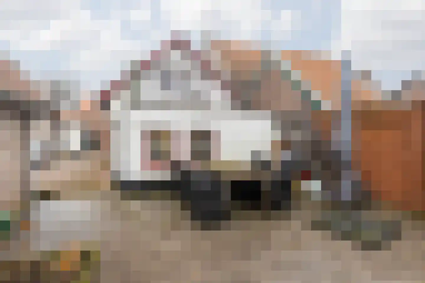 Dorpstraat 25 Elsloo thumbnail 38