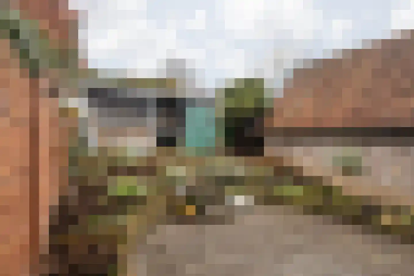 Dorpstraat 25 Elsloo thumbnail 39