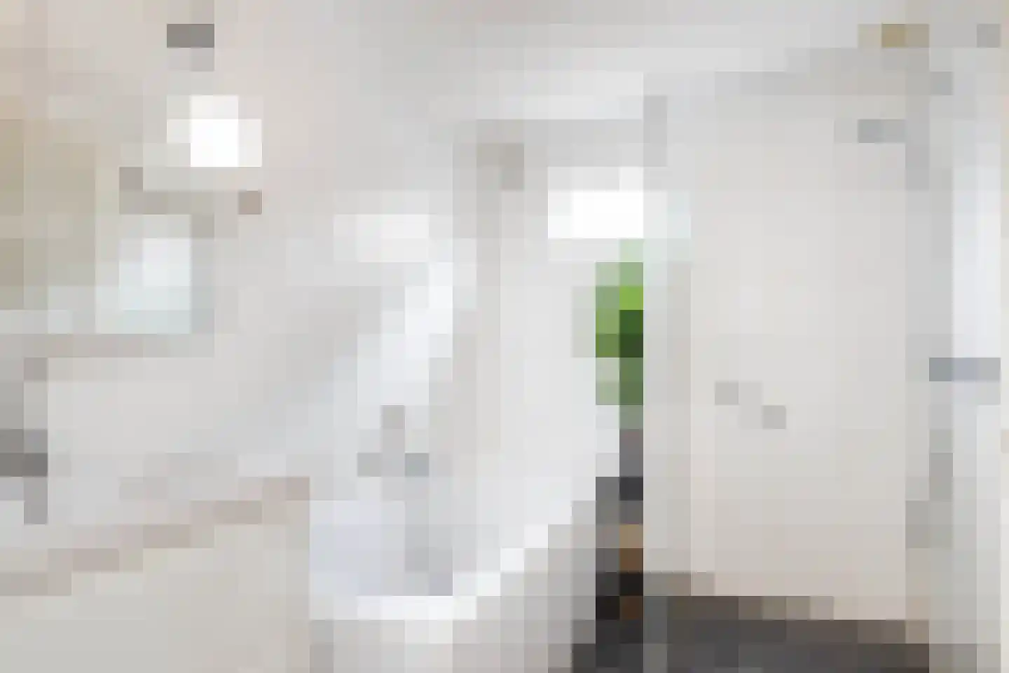 Dorpstraat 25 Elsloo thumbnail 4
