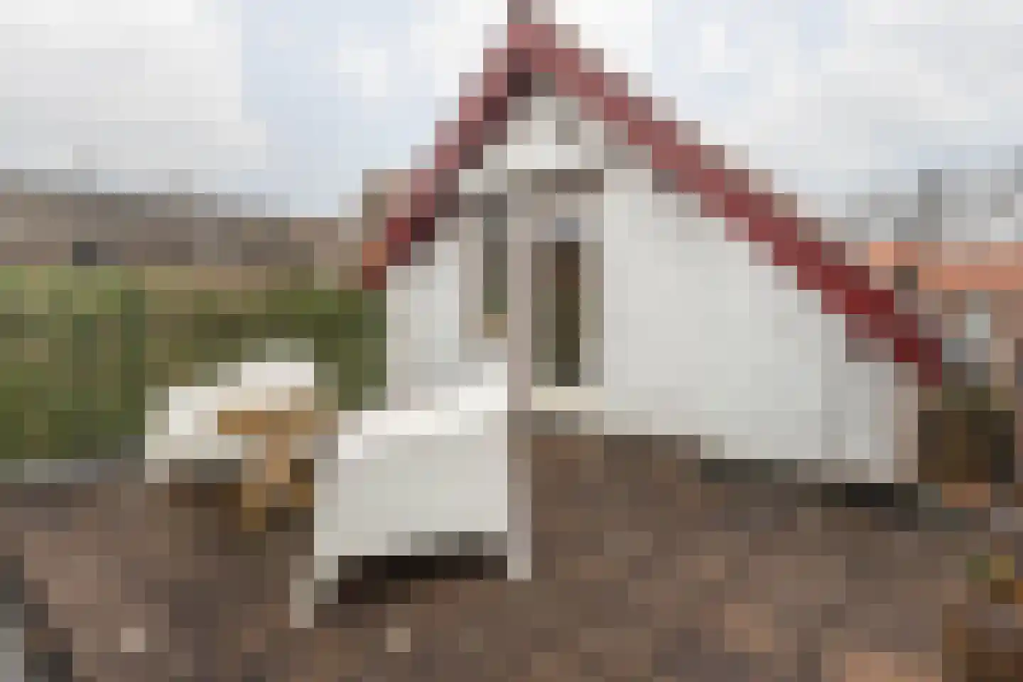 Dorpstraat 25 Elsloo thumbnail 41