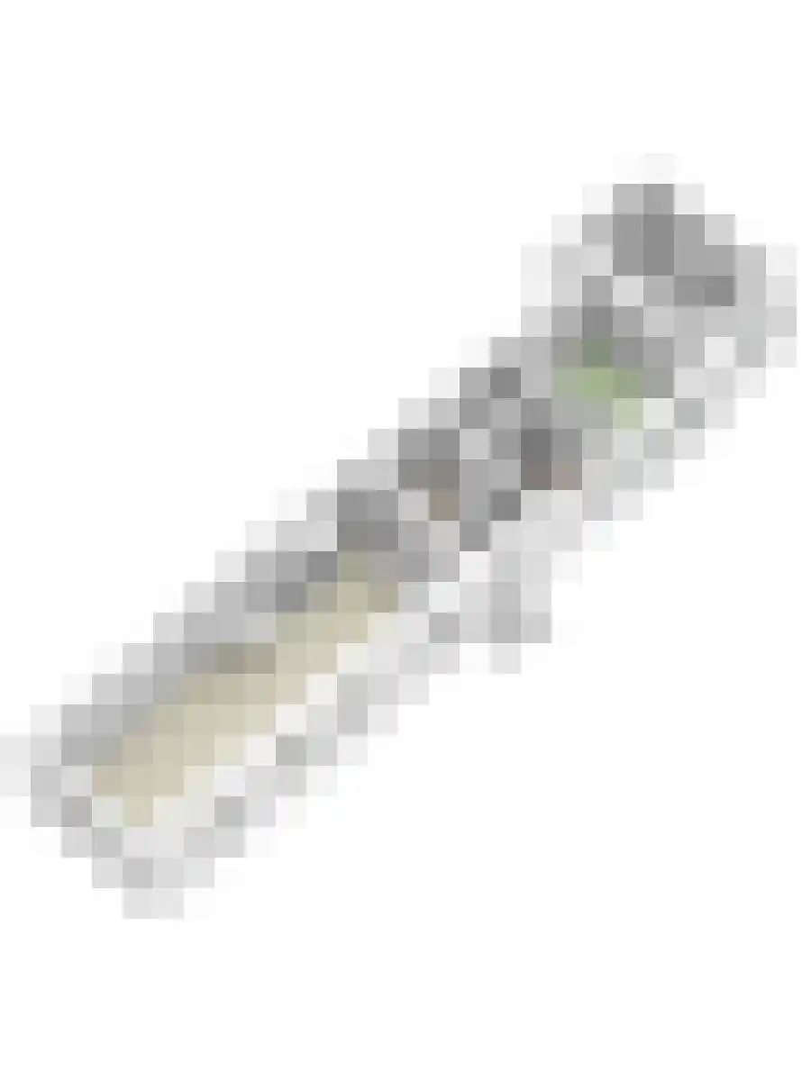 Dorpstraat 25 Elsloo thumbnail 45
