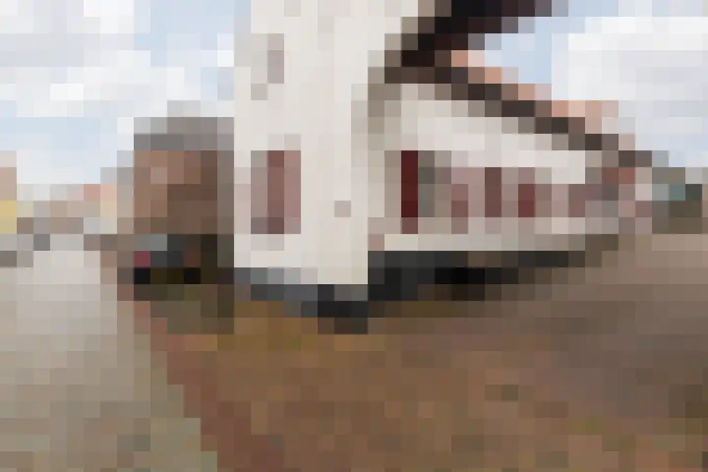 Dorpstraat 25 Elsloo thumbnail 8