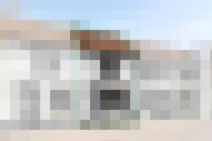 Dorpstraat 25 Waddinxveen thumbnail 6