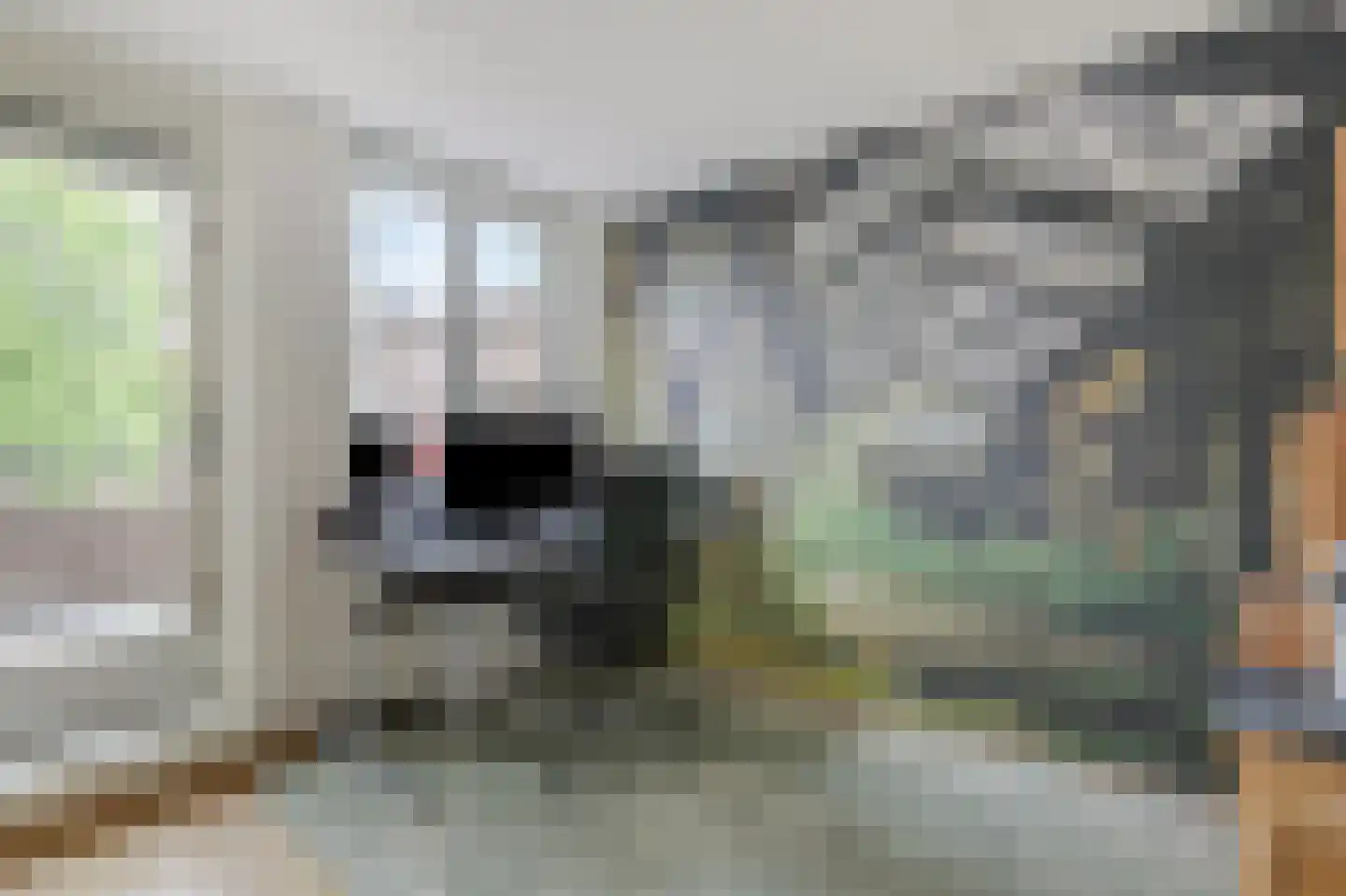 Dorpstraat 27 Heumen thumbnail 20
