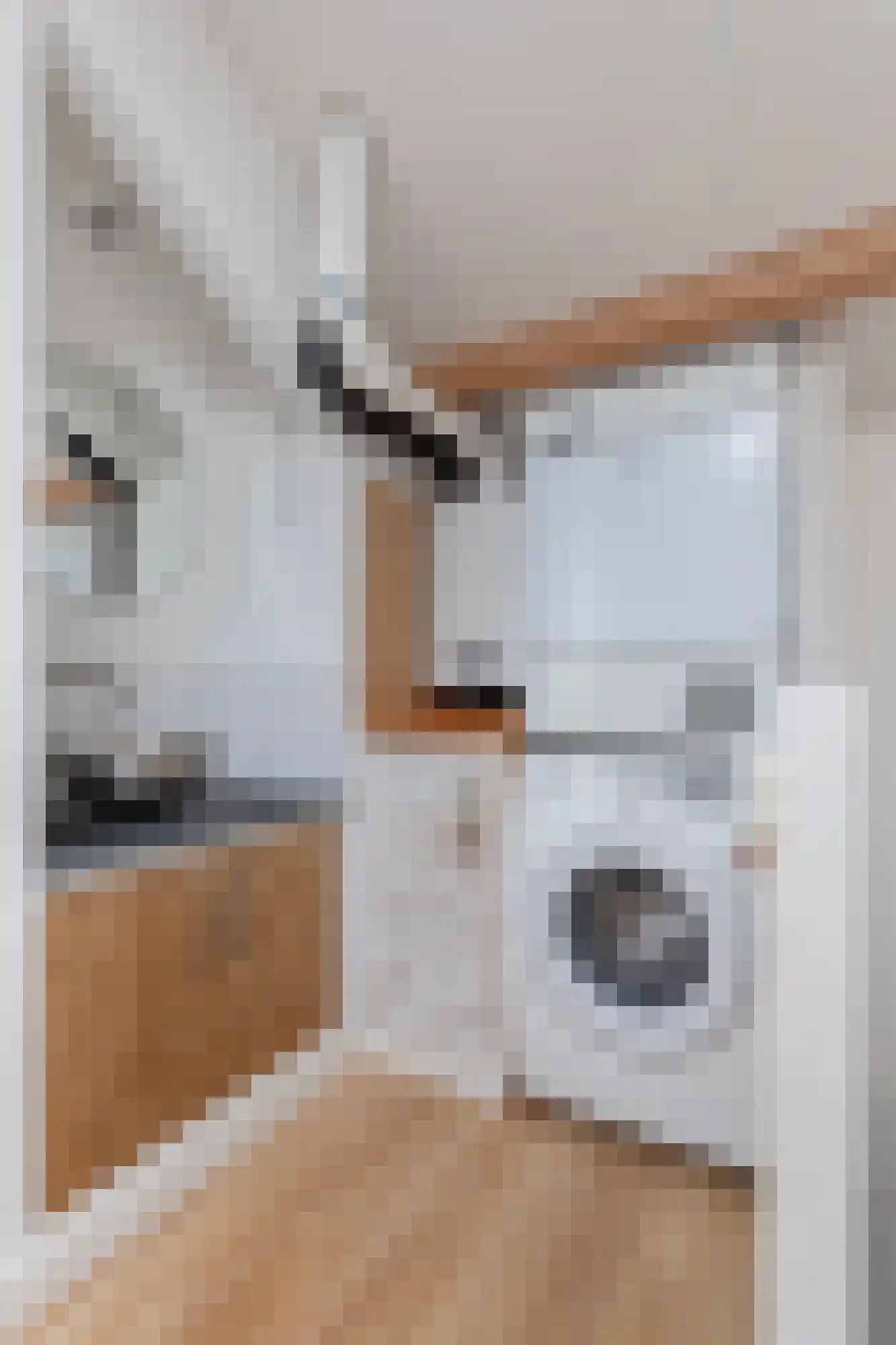 Dorpstraat 27 Heumen thumbnail 35