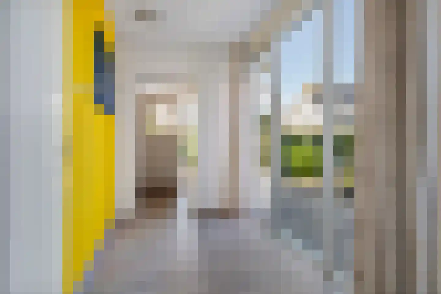 Dorpstraat 28 a Dreumel thumbnail 10