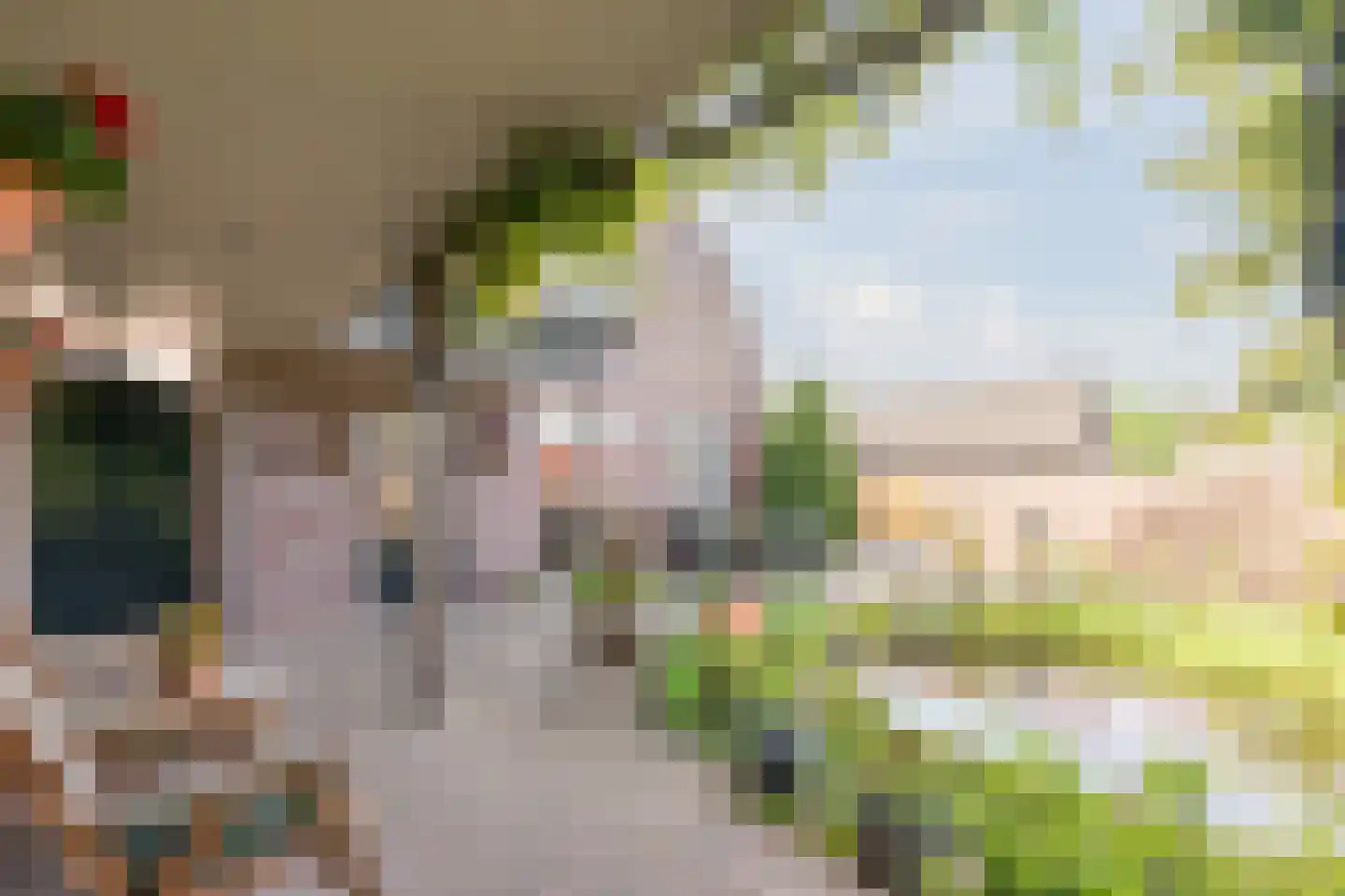 Dorpstraat 28 Leende thumbnail 36