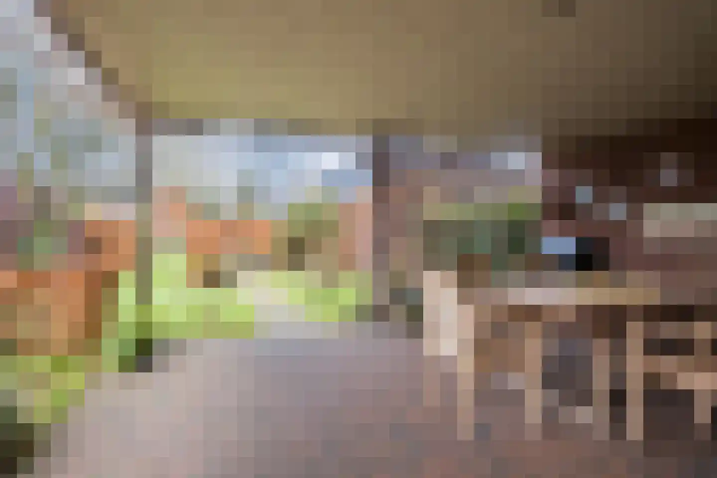 Dorpstraat 28 Leende thumbnail 36