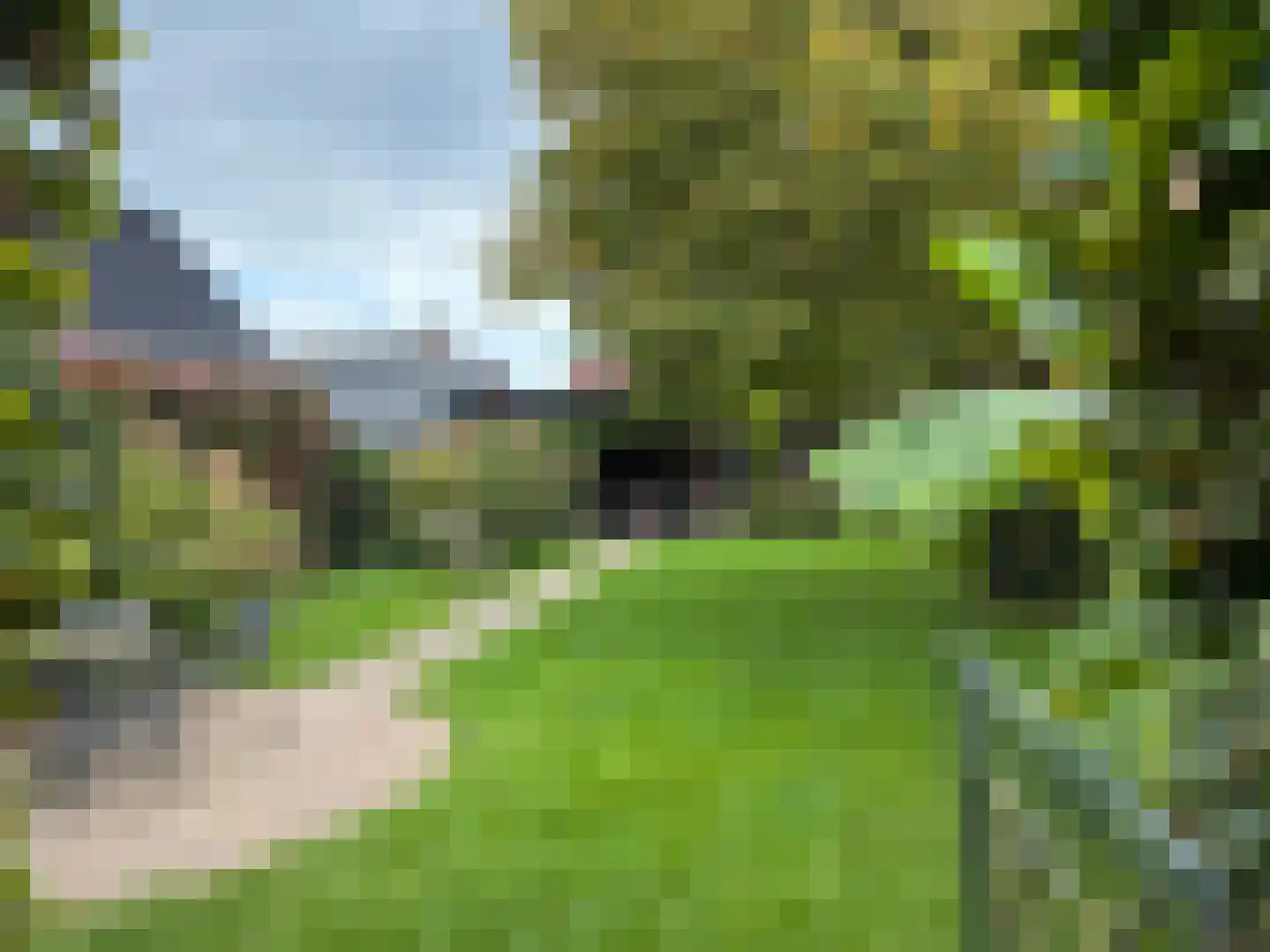 Dorpstraat 28 Leende thumbnail 43