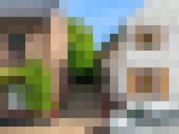 Dorpstraat 29 a Elsloo thumbnail 26