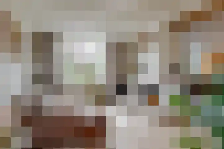 Dorpstraat 29 a Elsloo thumbnail 6