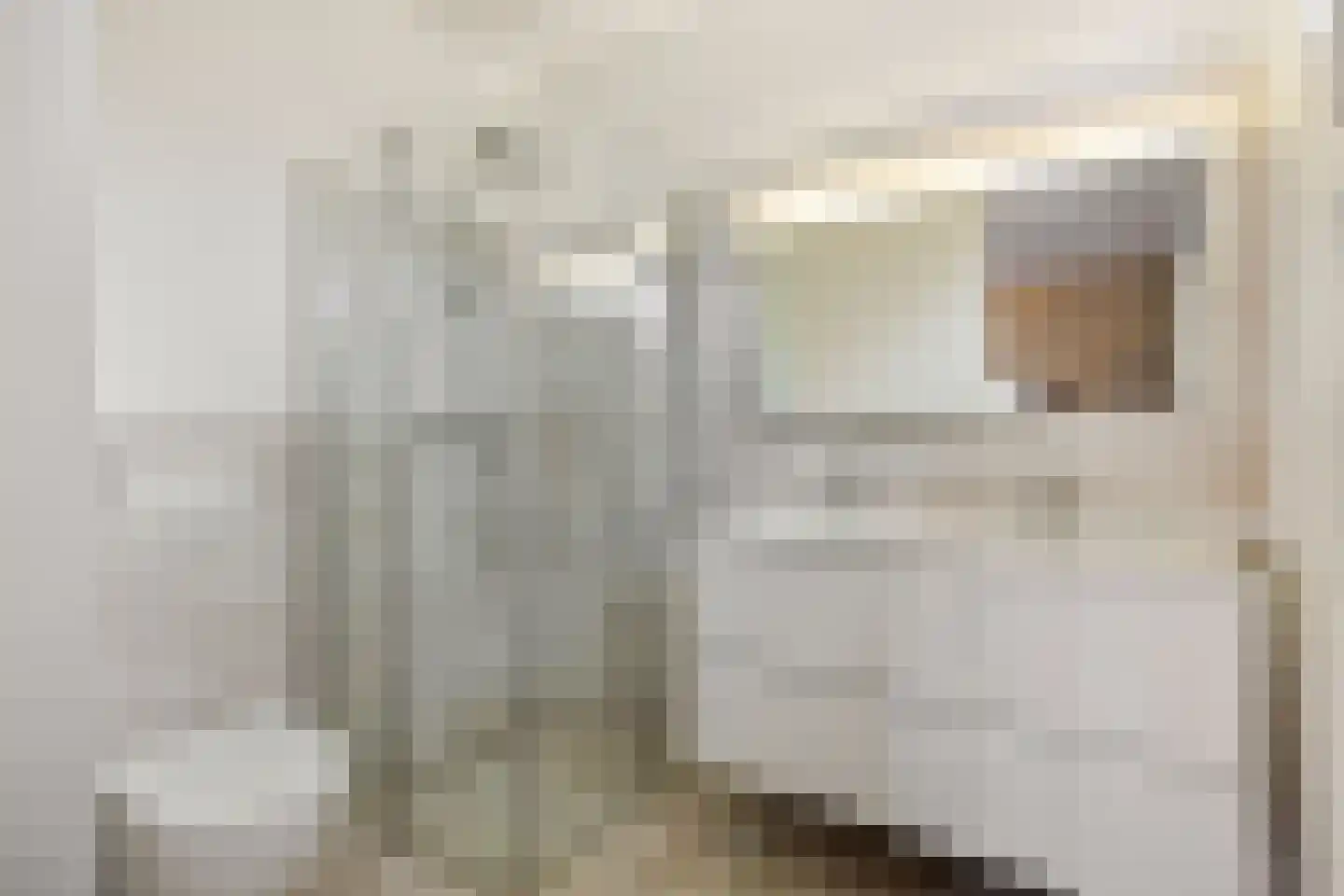Dorpstraat 29 Geffen thumbnail 22