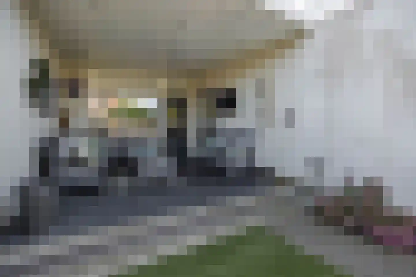 Dorpstraat 29 Geffen thumbnail 45