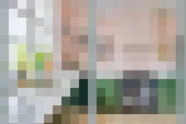 Dorpstraat 3 Lopik thumbnail 24