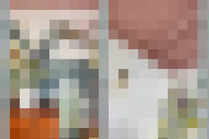 Dorpstraat 3 Lopik thumbnail 34