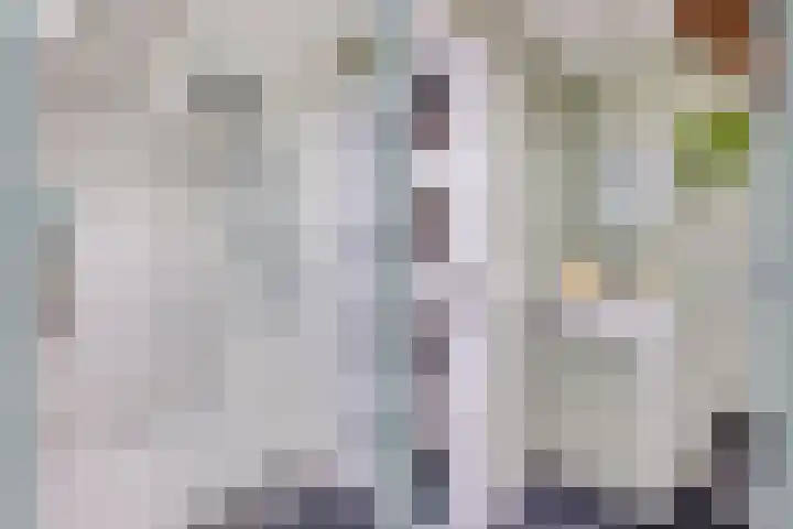 Dorpstraat 3 Lopik thumbnail 39