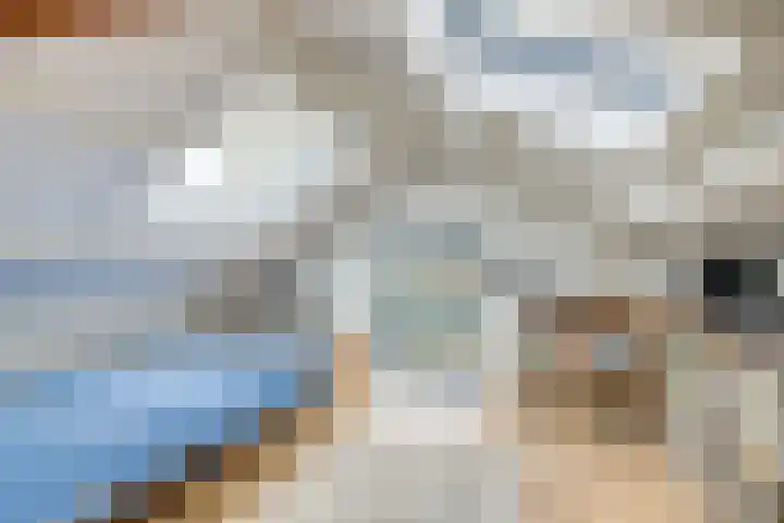 Dorpstraat 3 Lopik thumbnail 42