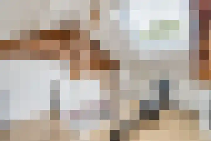 Dorpstraat 3 Lopik thumbnail 45