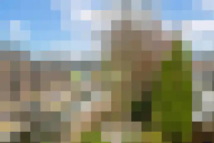 Dorpstraat 3 Lopik thumbnail 46