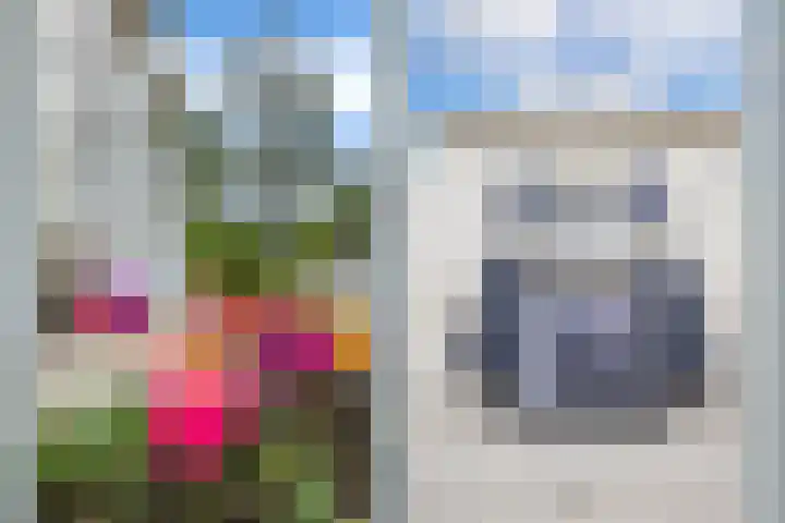 Dorpstraat 3 Lopik thumbnail 48