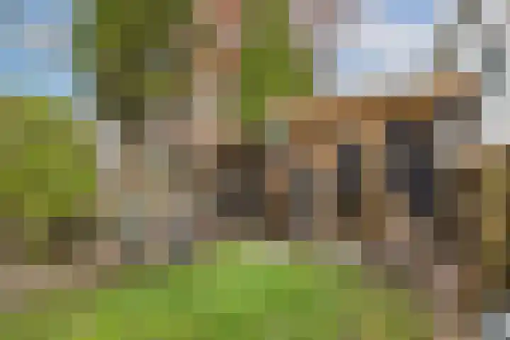 Dorpstraat 3 Lopik thumbnail 51
