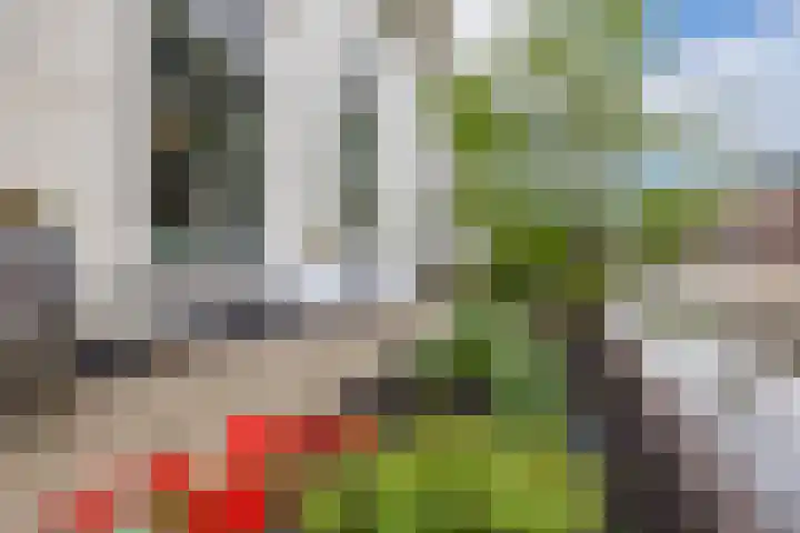 Dorpstraat 3 Lopik thumbnail 55