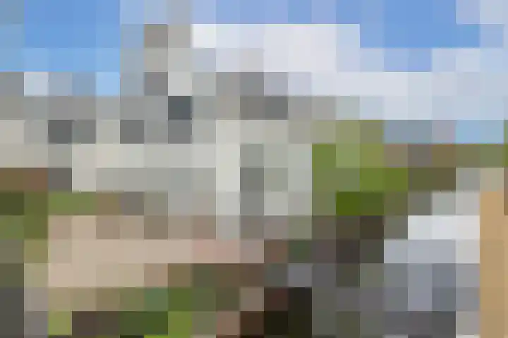 Dorpstraat 3 Lopik thumbnail 57