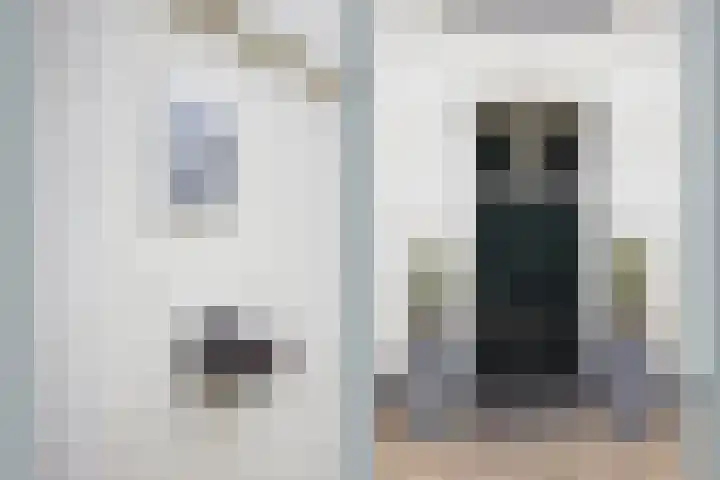 Dorpstraat 3 Lopik thumbnail 9