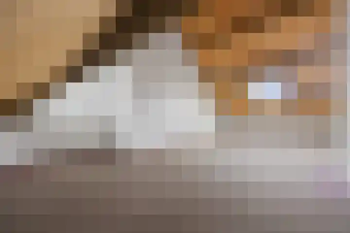 Dorpstraat 31 A Gemonde thumbnail 32