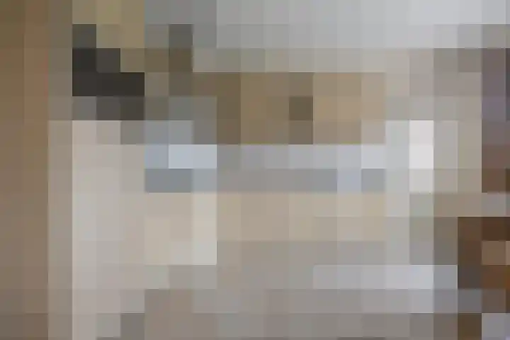 Dorpstraat 31 A Gemonde thumbnail 4
