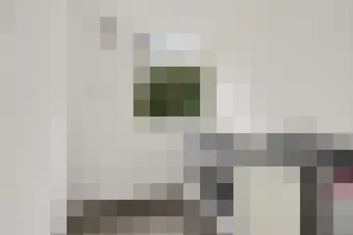Dorpstraat 31 Macharen thumbnail 20