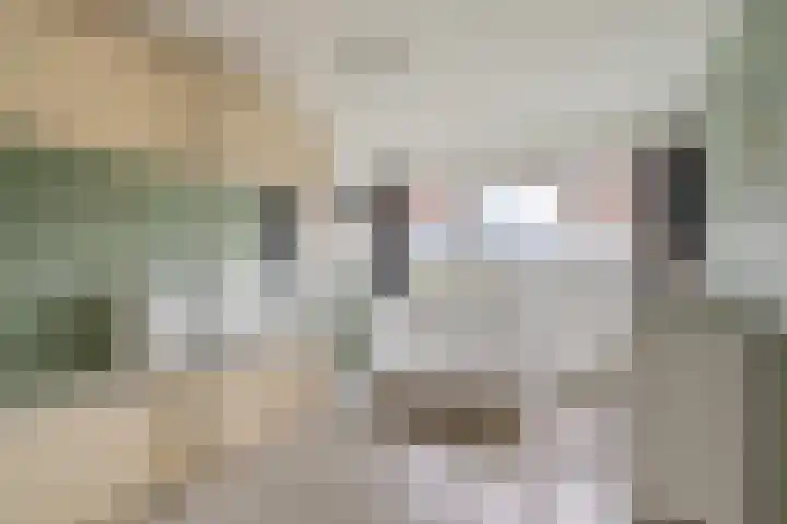 Dorpstraat 31 Macharen thumbnail 27