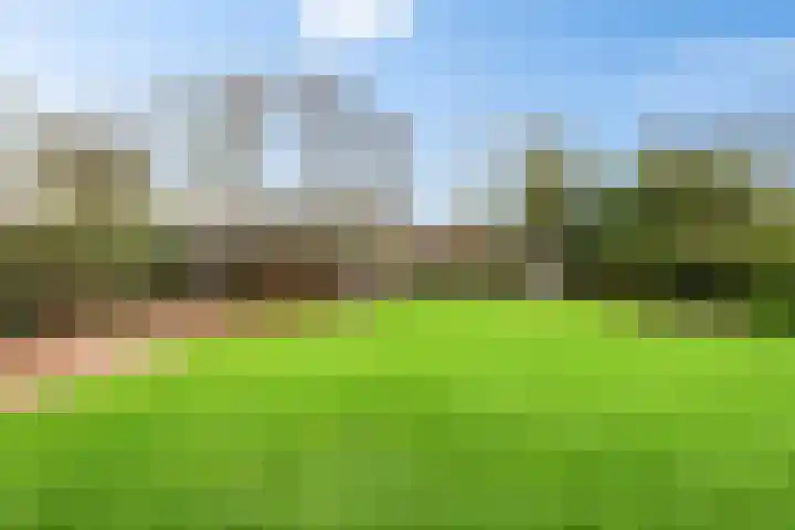 Dorpstraat 31 Macharen thumbnail 39