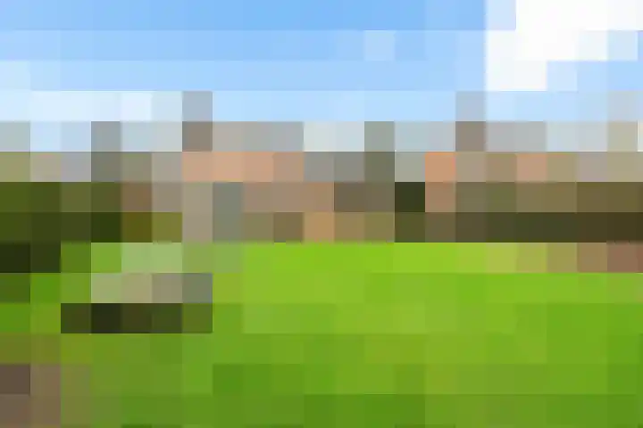 Dorpstraat 31 Macharen thumbnail 44